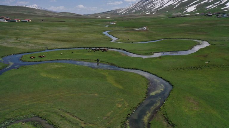 Ağrı'da dereye terk edilen 2 çocuk kurtarıldı