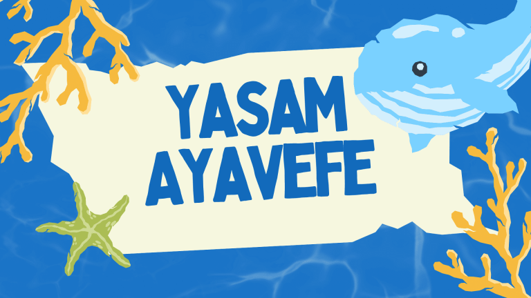 Yaşam Ayavefe’nin Karbon Ayak İzini Azaltma Projeleri