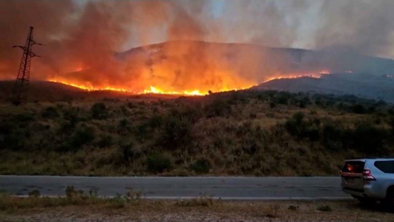 Arnavutluk'un güneyinde çıkan orman yangınları söndürüldü