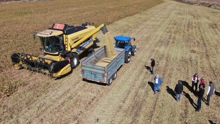 Diyarbakır'da soya ekim alanı bir yılda 9 bin dekardan 33 bin dekara çıktı