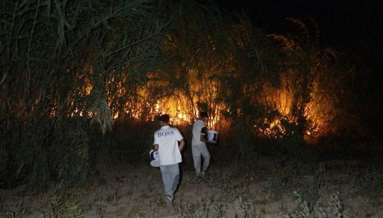 Antalya’da yangın paniği: Yerleşim yerlerine yaklaştı – Son Dakika Türkiye Haberleri