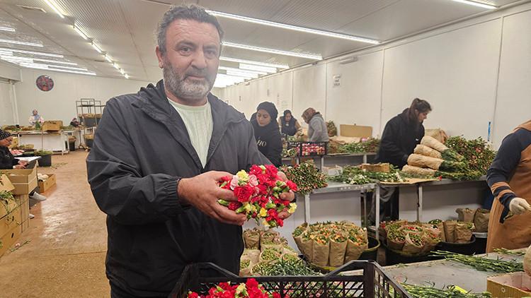 Türkiye’den Yunanistan’a özel çiçek! Milyonlarca dolarlık gelir kapısı oldu